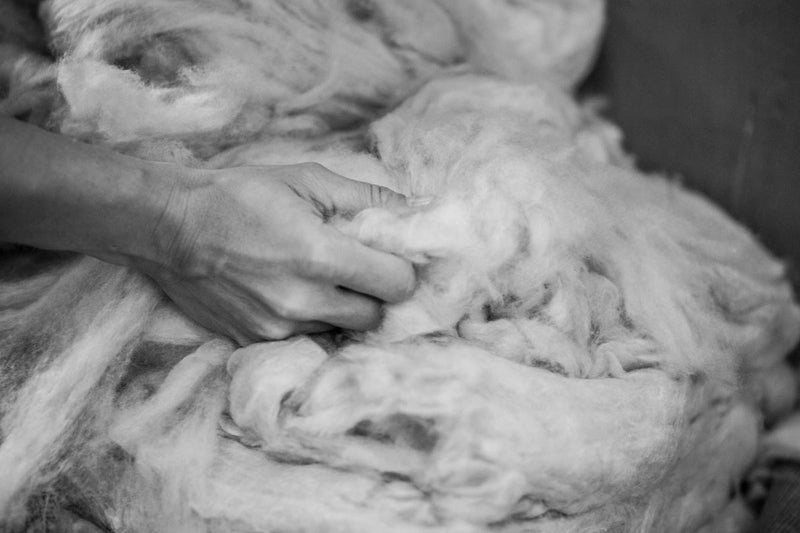 Cashmere Fiber The Fleece Milano